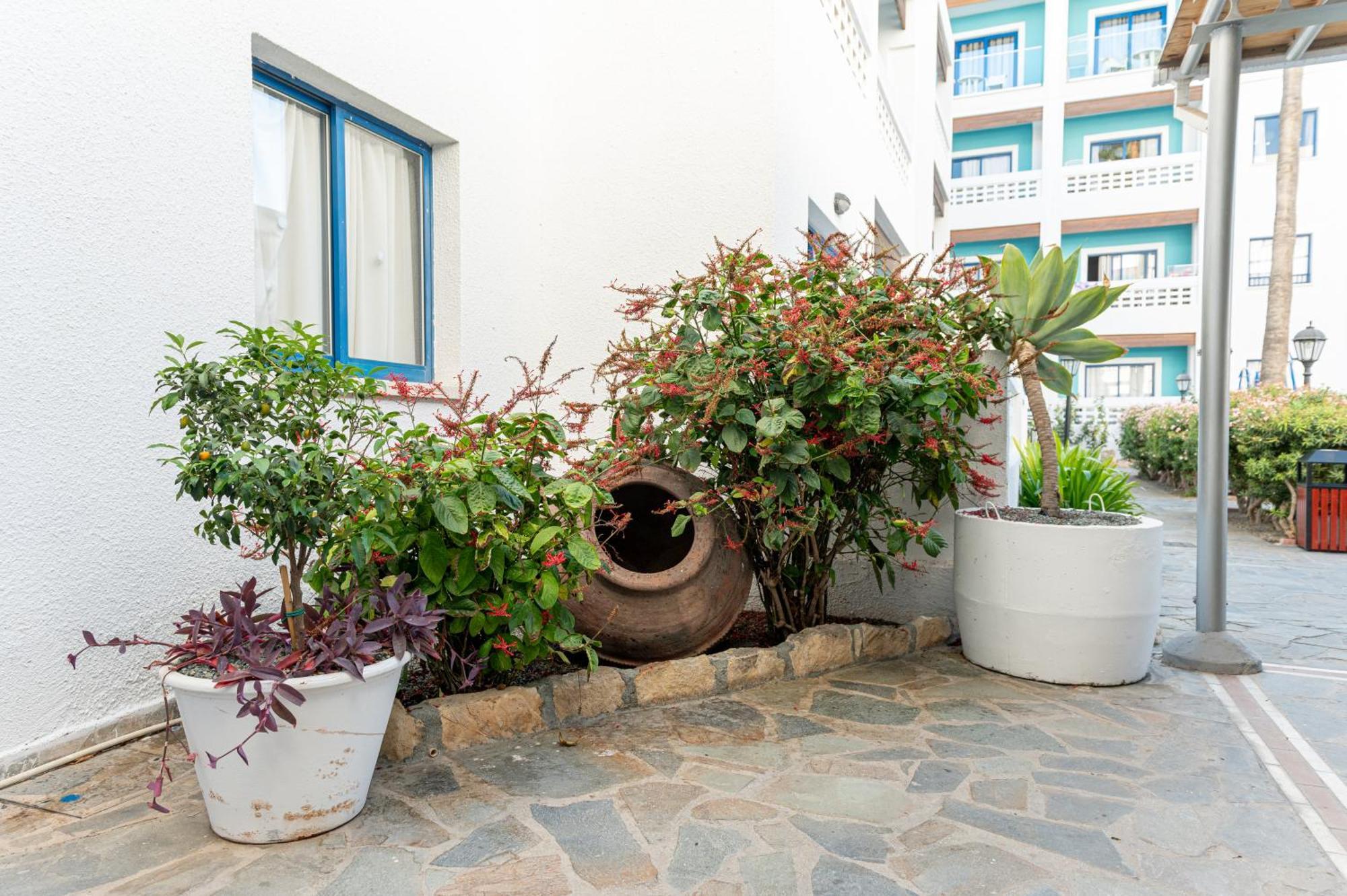 Aparthotel Kefalos Damon